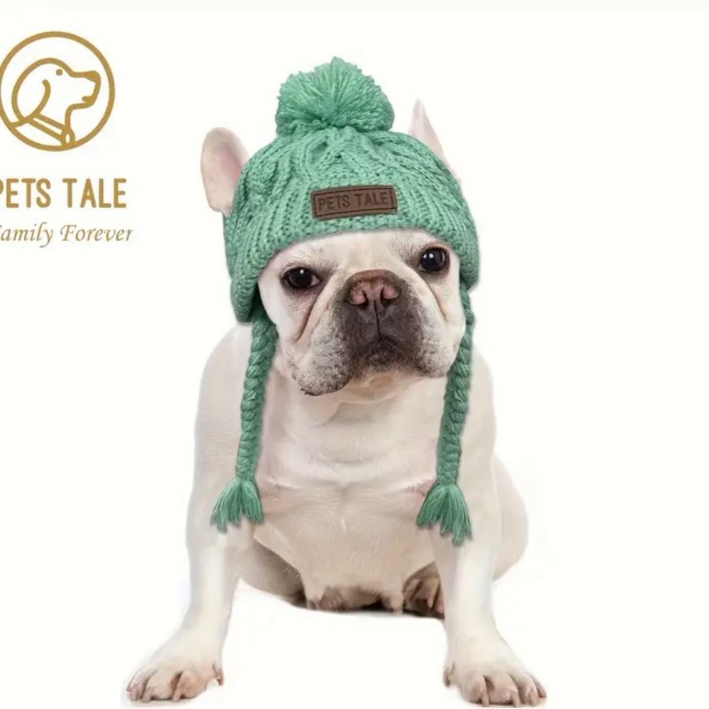 Dog Winter Hat